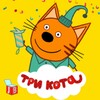金鱼视频播放器 
